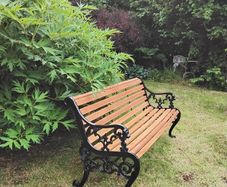 Cast iron and oak garden bench