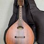 Mandolin Image 5