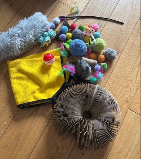 cat / kitten toys including hammock
