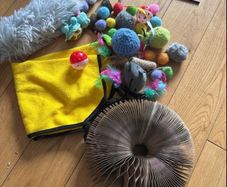 cat / kitten toys including hammock