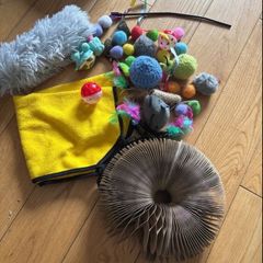 cat / kitten toys including hammock