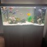 240 litre Aquarium Image 2