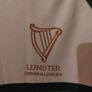 leinster all star camogie jersey Image 2