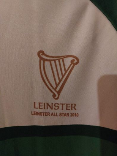 leinster all star camogie jersey