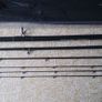 Feeder Rods 11ft/3.30cm 12ft/3.60cm & 13ft/3.90cm Image 7