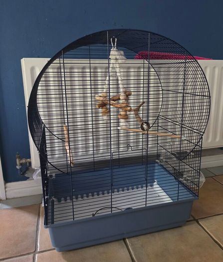 bird cage