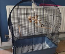 bird cage
