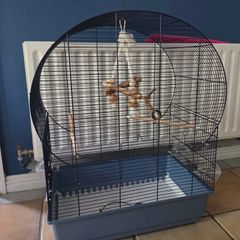 bird cage