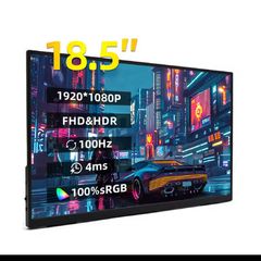 Portable monitor