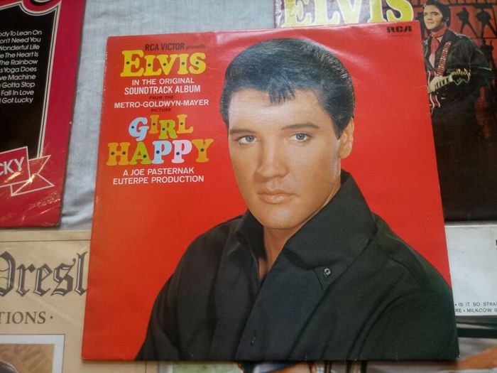 Elvis Presley Vinyls Bundle