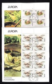 2005 Ireland Europa (Gastronomy) Stamp Sheetlet Fine Used with Dublin cancel of 9th May 2005 (First day of issued) on envelope extract
