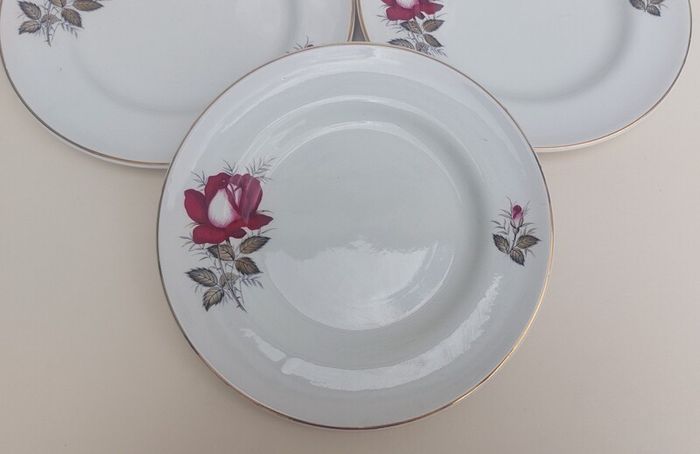Beautiful Set of Four Breakfast Plates by Arklow Pottery in the Very Popular and Collectable "Autumn Rose" Pattern