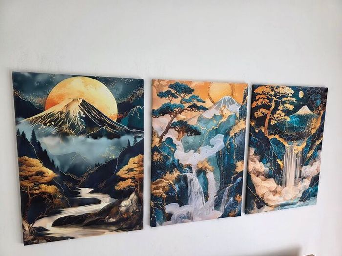 3 framed printed canvas 35x55cm each