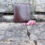 Ted Baker leather wallet Image 3