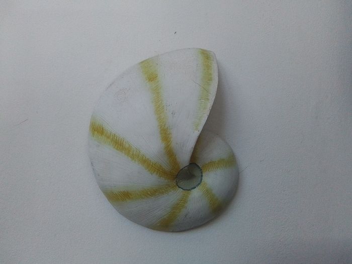 Kelly Lane Ceramic Wall Decor