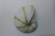 Kelly Lane Ceramic Wall Decor
