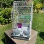 Bird Cage Image 3