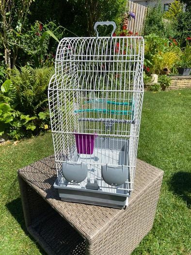 Bird Cage