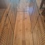 Puppy Pen Image 3