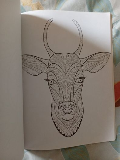 Therapeutic Colouring Books x 2