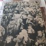 In Praise of Teddy Bears Phillippa and Peter Waring 1980 Vintage Image 2