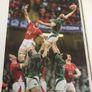 Ireland's Grand Slam 2009 Image 6