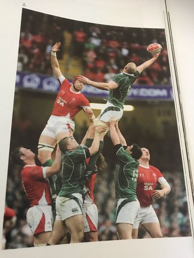 Ireland's Grand Slam 2009