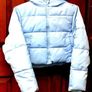 USA Pro Cropped Puffer Jacket Blue Image 6
