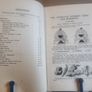 The Complete Cookery Book for Diabetics by Iris Holland Rogers Image 3