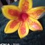 Glass Flowers Image 2