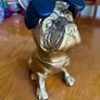 Dog with sunglasses ornament - Maynooth Image 4