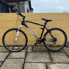 Giant Revel 3 - 50CM
