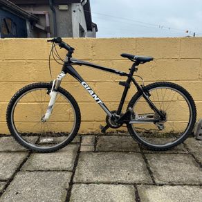 Giant Revel 3 - 50CM