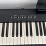 Electric piano Image 2