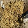 Maize - Beet Bales Image 6