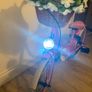 popal girls bike with basket Image 8