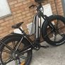 ebike Image 4