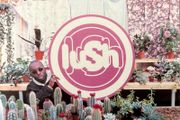 Lush - Lovelife. Indie CD in perfect condition.