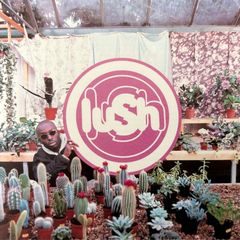 Lush - Lovelife. Indie CD in perfect condition.
