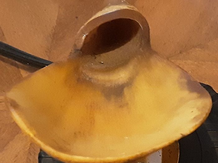 SPOON???? carved out of a horn/ bone