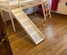 Bunk bed with slide