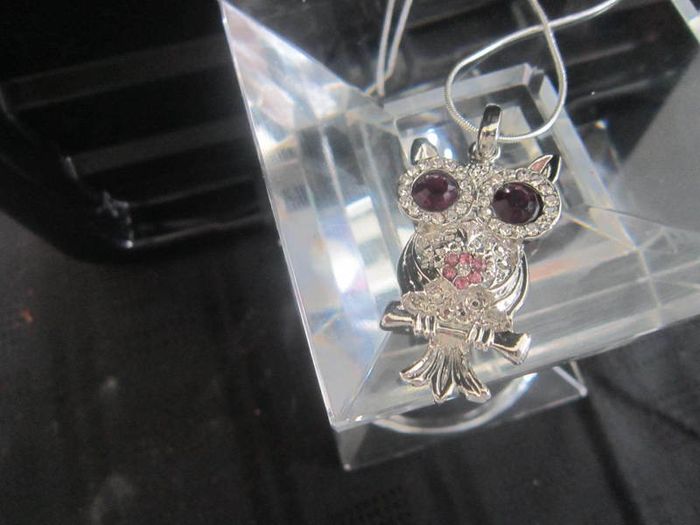 Cute Owl Pendant and Chain