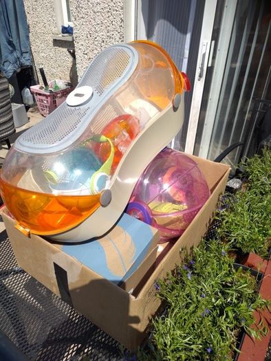 Hamster cage