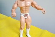 Wrestlers WWE action Figure