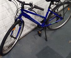 Apollo women's bike blue, 17 inches