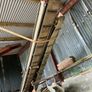 Potato grader Image 3