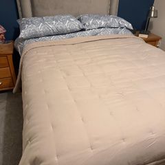 Paul Costelloe double bed spread