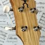 Anuenue tenor ukulele and case Image 8