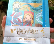 Harry Potter Spells and Charms Ruled Journal Notebook with Pocket J. K. Rowling