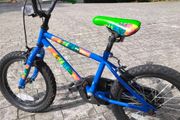 Apollo 16" Bike